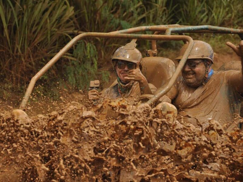 Bayahibe: Buggy and Horseback Riding Tour - Why This Tour Stands Out