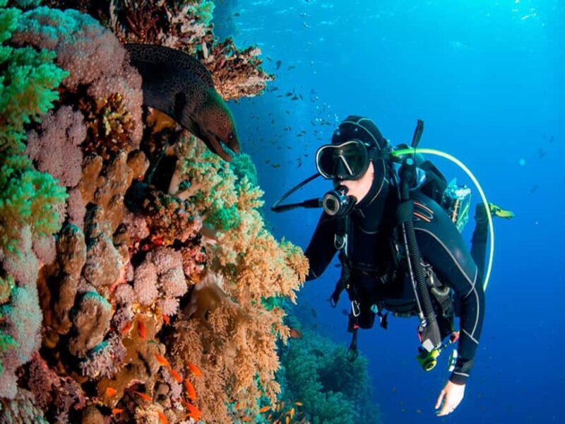 Bayahibe: Catalina Island Scuba Diving Tour with Lunch - Good To Know