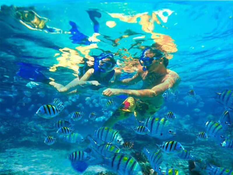 Bayahibe: Catalina Island Snorkeling and Diving Tour - What to Expect: Practical Details and Tips  