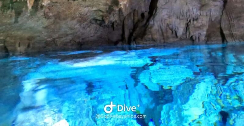 Bayahibe - Cenotes Scuba Diving - Godive Bayahibe - A Closer Look at the Experience