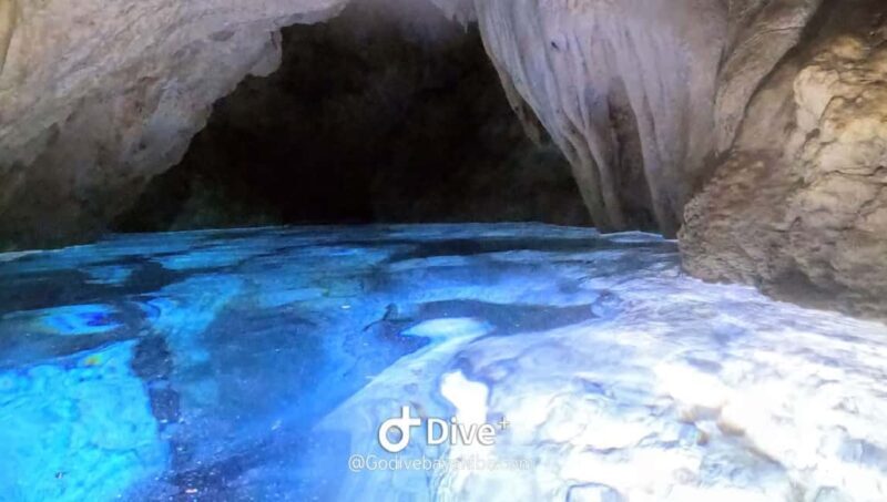 Bayahibe - Cenotes Scuba Diving - Godive Bayahibe - Who Should Book This Tour?