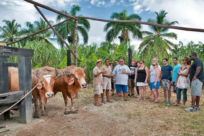 Bayahibe La Romana Discovery Full Day Tour - Booking Details