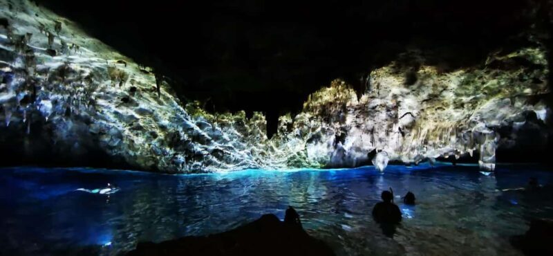 Bayahibe: National Park Jungle Walk & Snorkeling in Cenotes - An Action-Packed Day in the Dominican Republic’s Natural Wonders