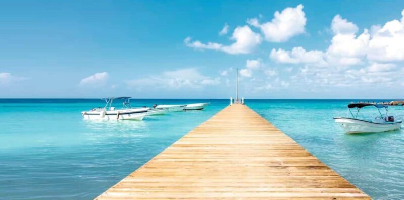 Bayahibe: Samaná and Miches Whale Watching Day Trip - An In-Depth Look at the Tour Experience