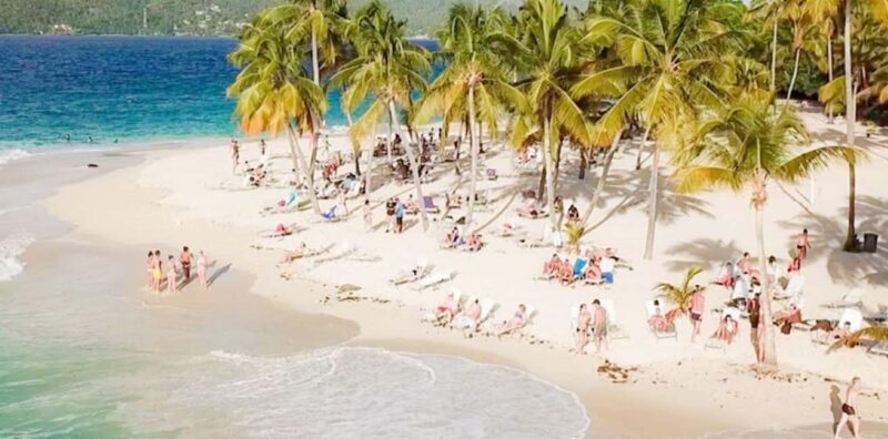 Bayahibe: Samaná and Miches Whale Watching Day Trip - Final Thoughts: Who Will Love This Tour?