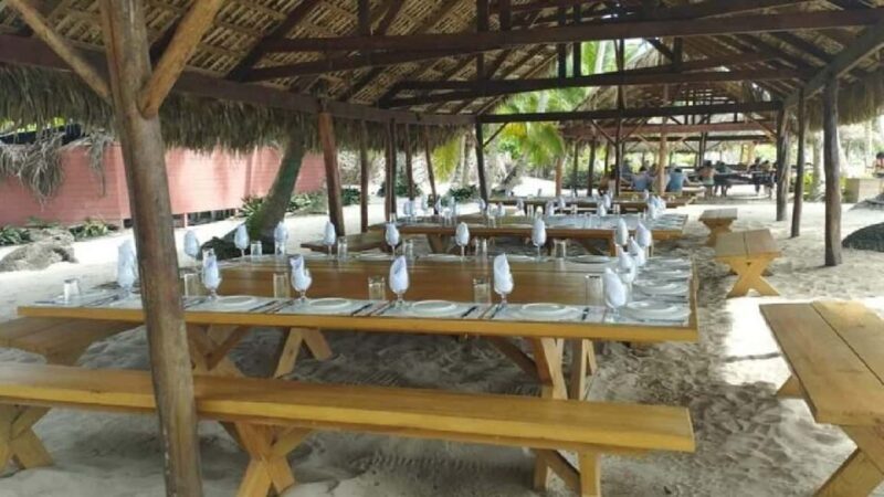 Bayahibe: Saona Island Catamaran Tour with Lunch & Drinks - Setting Sail for Saona: What to Expect