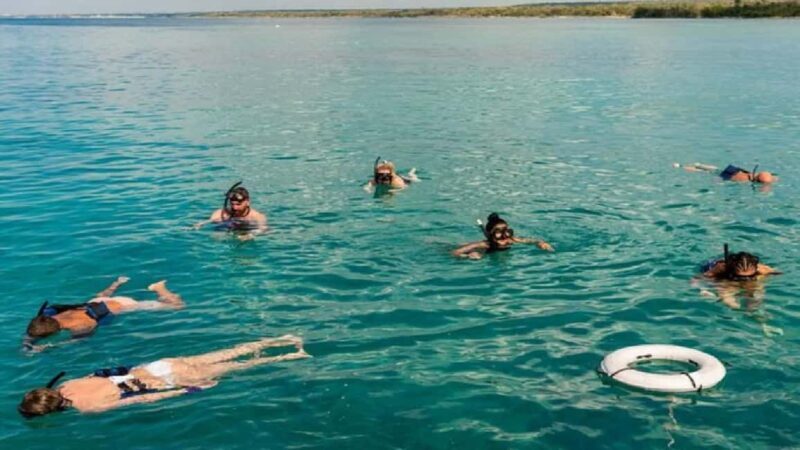 Bayahibe: Saona Island Catamaran Tour with Lunch & Drinks - FAQ