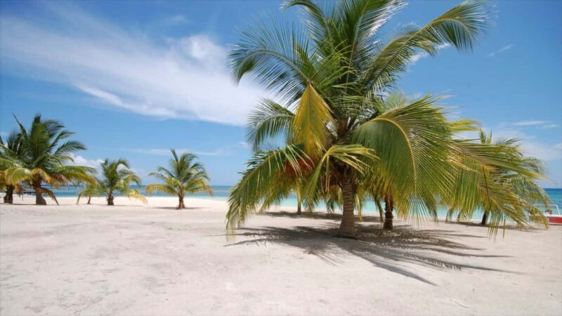 Bayahibe: Saona Island Sailing in catamaran with open bar - The Itinerary: What You Can Expect on This Day Trip  