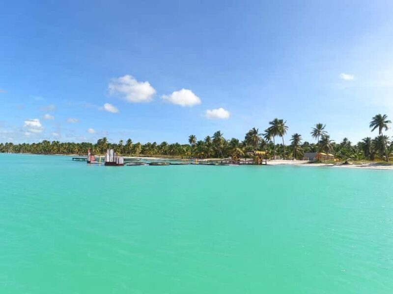 Bayahibe: Saona Island VIP Tour with Lunch & Drinks - Playa Toro and El Canto: Beachside Relaxation