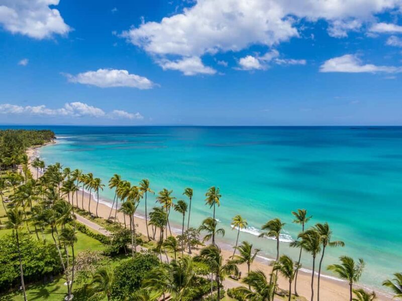 Bayahibe: Whale-Watching Cruise & Cayo Levantado Day Trip - The Itinerary: What You Can Expect