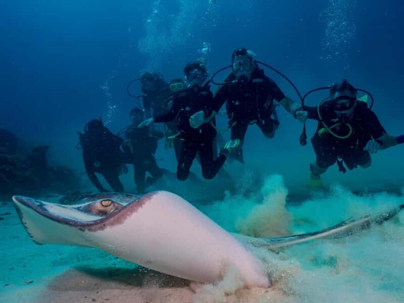 Bayhibe: Private 2 Tank Scuba Dive tour in the National Park - Real Experiences and Insights