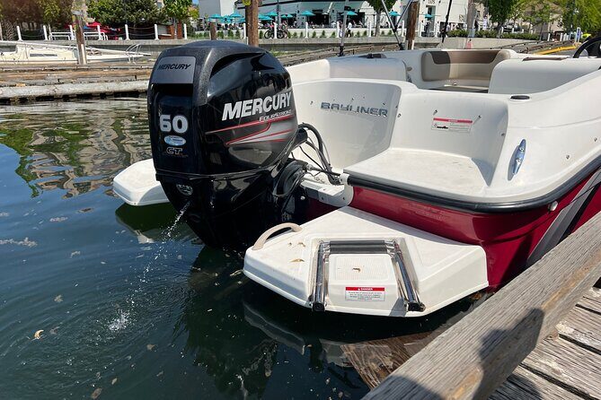 Bayliner Element 60HP Boat - Why Choose the Bayliner Element 60HP Boat?