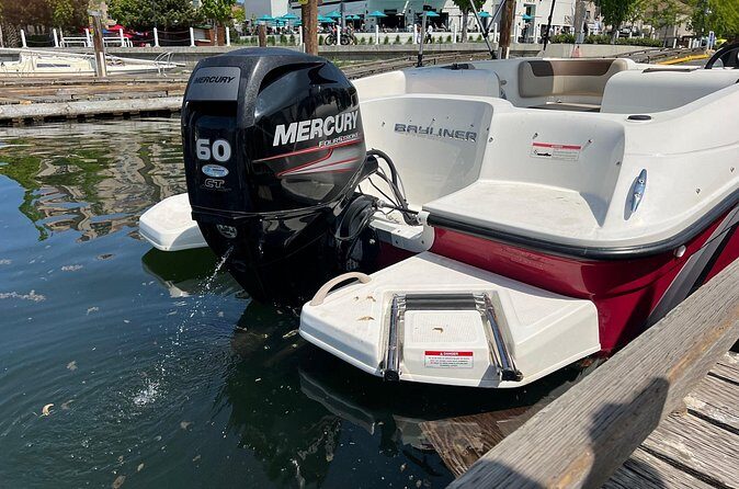 Bayliner Element 60HP Boat - Extra Insights from User Experiences