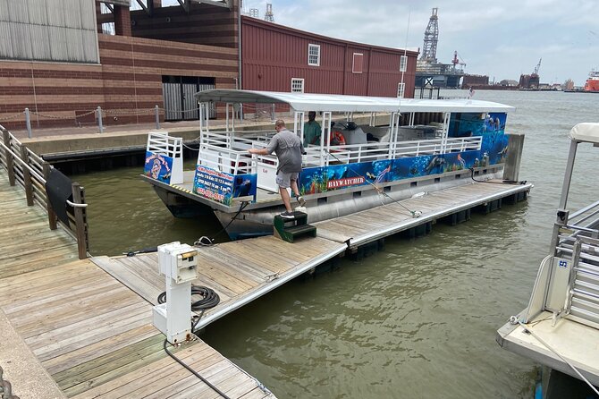 Baywatch Dolphin Tour - Tour Details