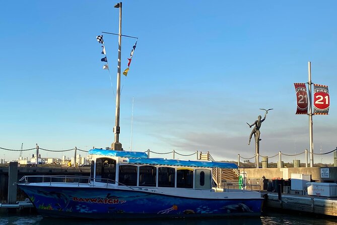 Baywatch Dolphin Tour - Common Questions