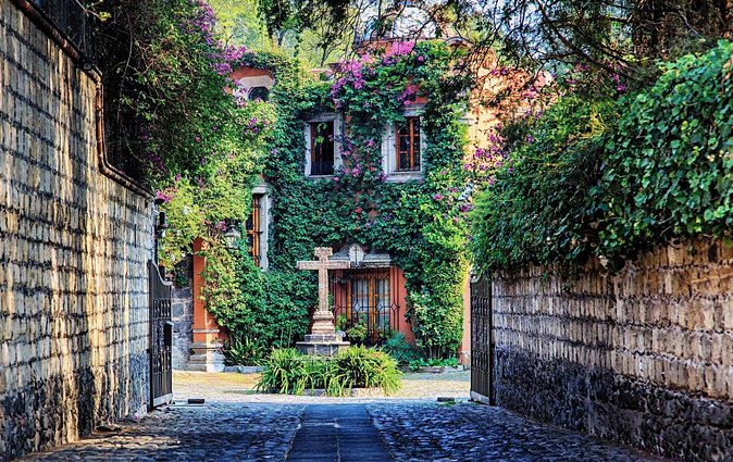 Bazaar Saturday - Convent of Carmen - San Angel - History and Architecture