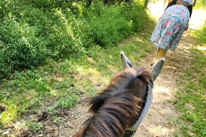 B&C horseback riding in nature and Keeneland racetrack. - Analyzing the Value