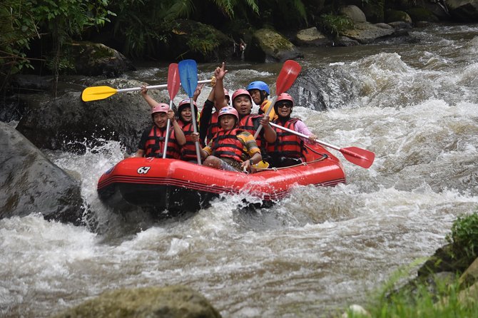 (Bcr Rafting ) at Telaga Waja River With Lunch Goa Lawah Temple , Kertaghosa - Trip Overview
