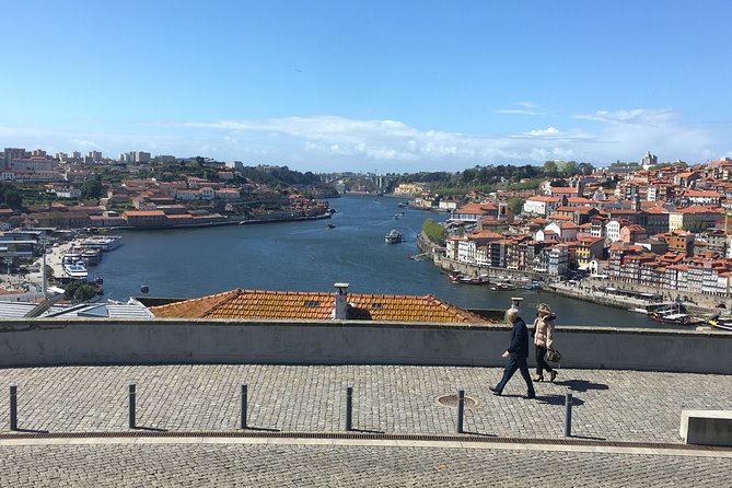 Be a Local in Porto - One Day Private Tour From Lisbon - Itinerary Overview