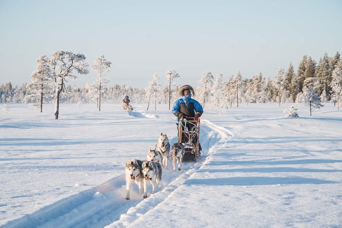 Be a Musher! Husky Tour Into the Arctic Wilderness - Tour Details