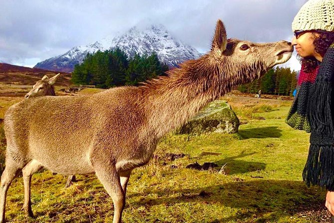 Be Enchanted by the Breathtaking Scenery of the Scottish Highlands - Immerse Yourself in Ancient Castles