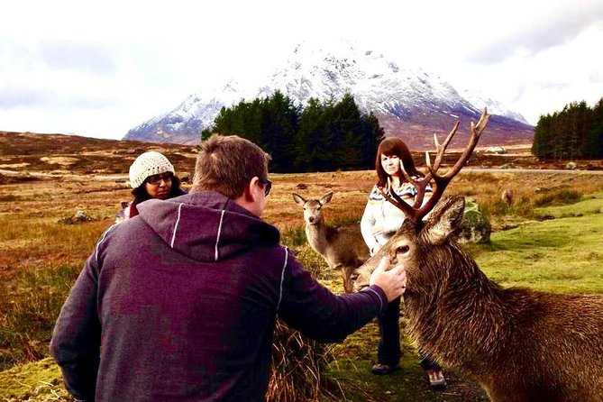 Be Enchanted by the Breathtaking Scenery of the Scottish Highlands - Witness the Spectacular Waterfalls