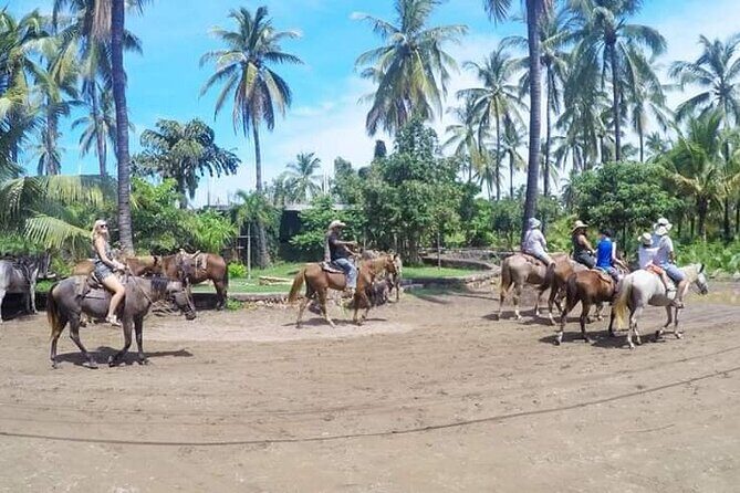 Beach Activities and All Inclusive Tour - Good To Know