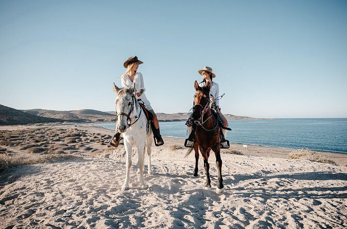 Beach and Desert Scenic Horseback Ride in Baja California Sur - Authenticity and Real-World Insights