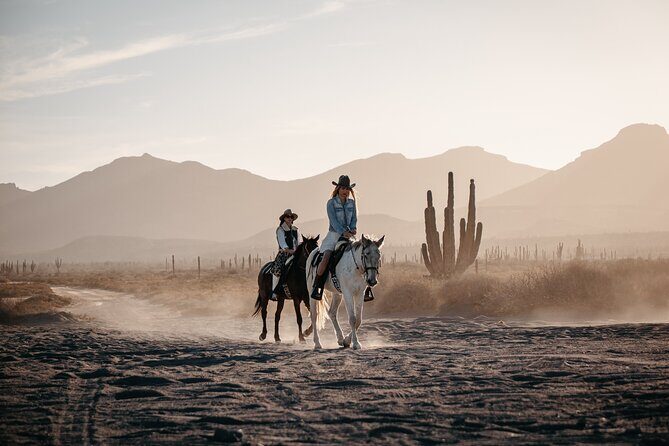 Beach and Desert Scenic Horseback Ride in Baja California Sur - FAQ