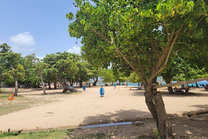 Beach and Ojo de Agua Experience! - The Sum Up: Why You Should Consider This Tour  