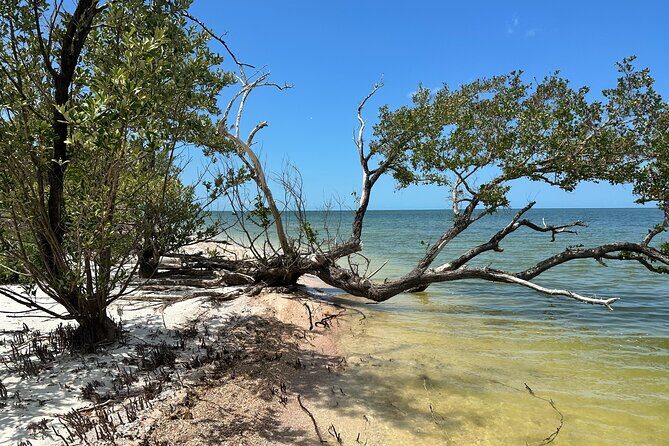 Beach and Shelling Excursion - Public - Good To Know