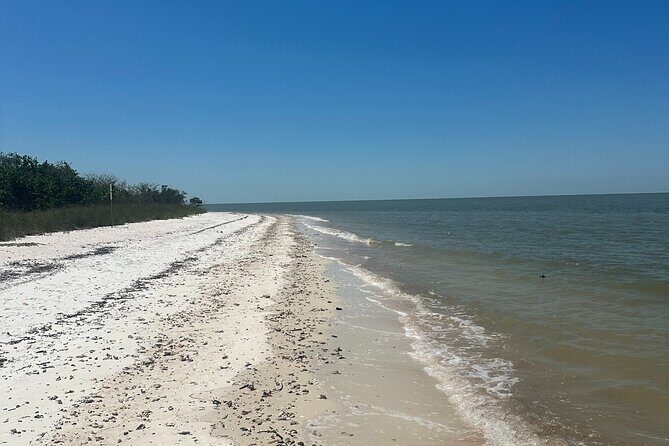 Beach and Shelling Excursion - Public - What to Expect from the Tour