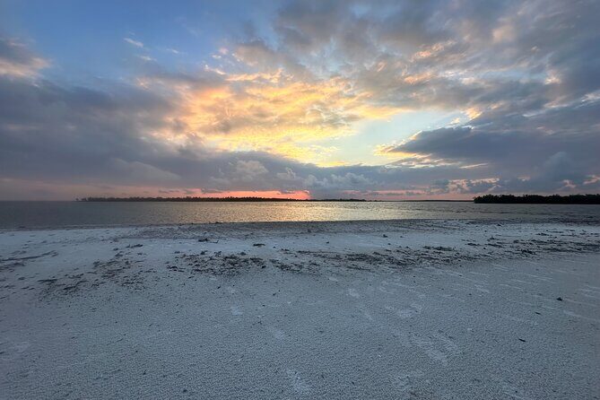 Beach and Shelling Excursion - Public - Final Thoughts