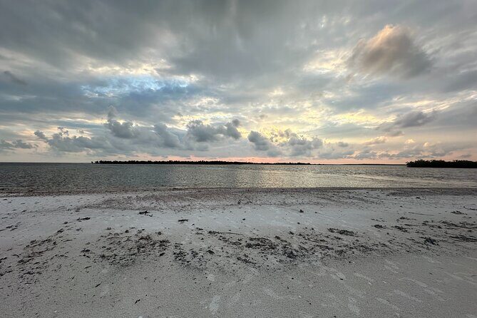 Beach and Shelling Excursion - Public - Who Should Consider This Tour?