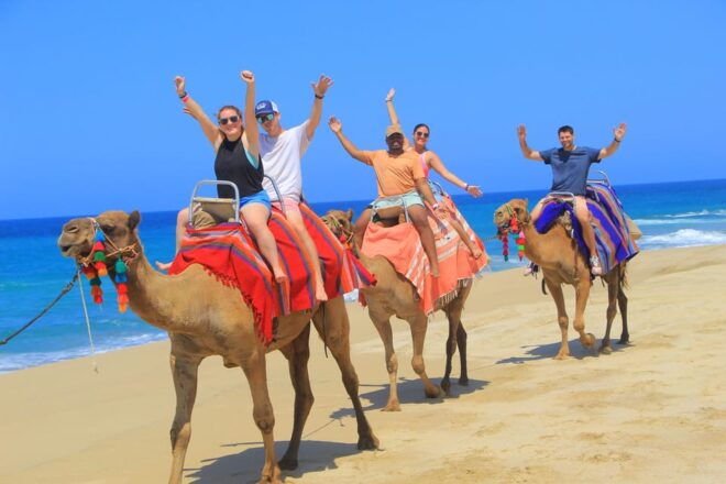 Beach ATV & Camel Ride COMBO in Cabo by Cactus Tours Park - Important Information