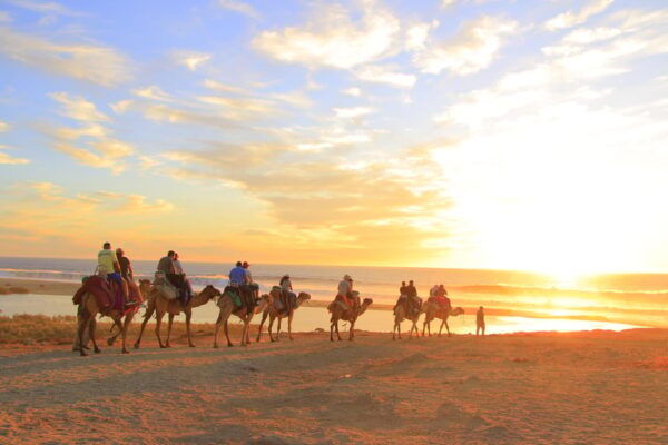 Beach ATV & Camel Ride COMBO in Cabo by Cactus Tours Park - Frequently Asked Questions