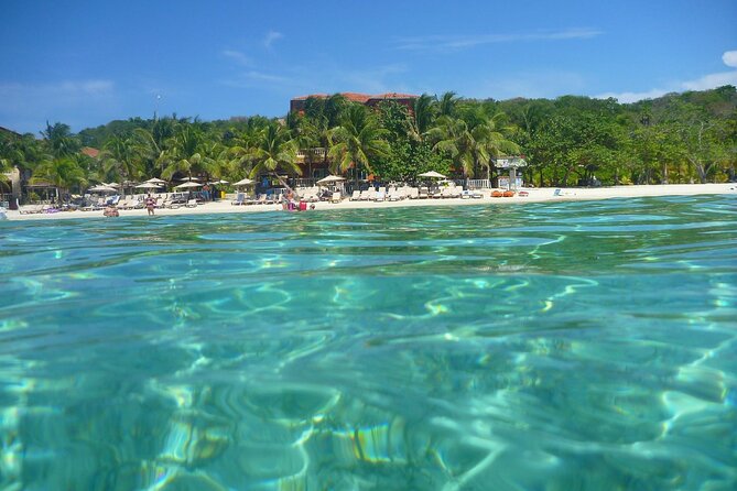 Beach Bliss: Roatan Rum & Chocolate Adventure - Tour Highlights