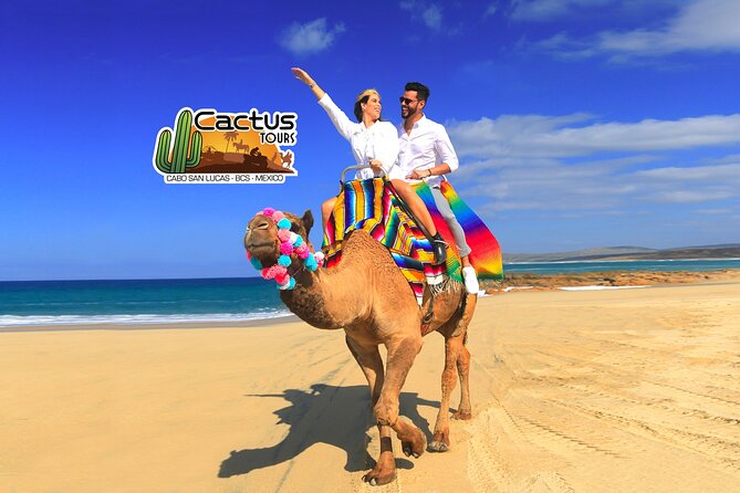 Beach Camel Ride & Encounter in Cabo by Cactus Tours Park - Overview of the Beach Camel Ride & Encounter
