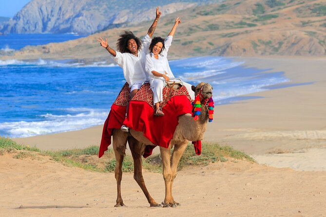 Beach Camel Ride & Encounter in Cabo by Cactus Tours Park - Inclusions and Experiences