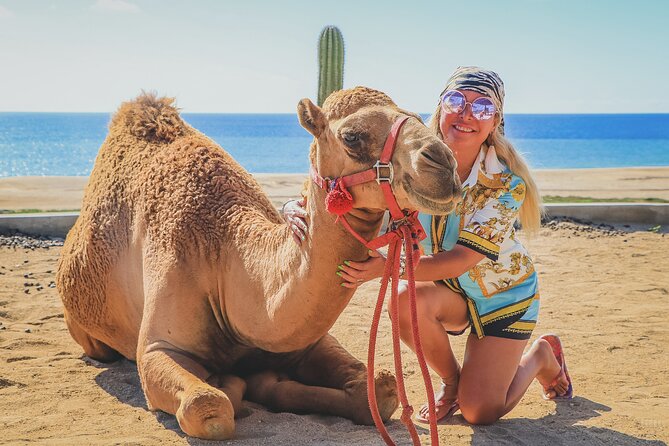 Beach Camel Ride & Encounter in Cabo by Cactus Tours Park - Additional Information