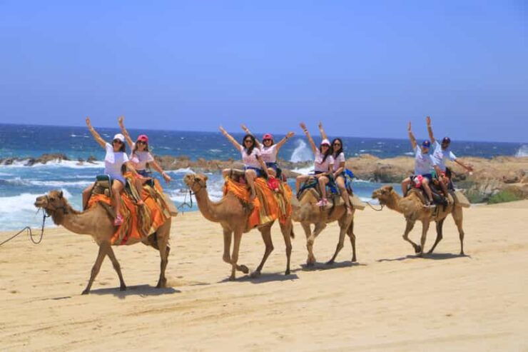 Beach CAN-AM SXS X3 & Camel Ride in Cabo by Cactus Tours - Good To Know