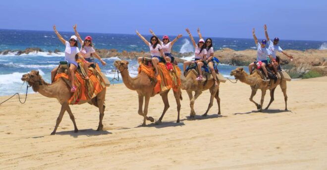Beach CAN-AM SXS X3 & Camel Ride in Cabo by Cactus Tours - Transportation and Locations