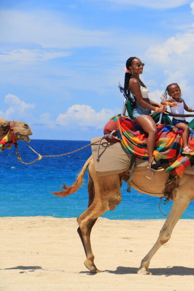 Beach CAN-AM SXS X3 & Camel Ride in Cabo by Cactus Tours - Frequently Asked Questions