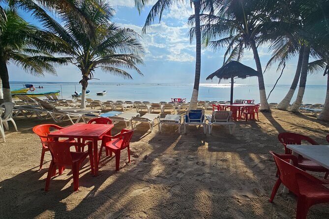 Beach club restaurant kraken - Introduction