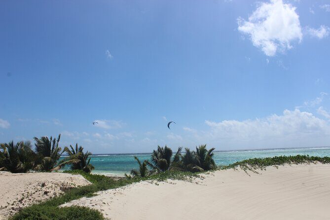 Beach Club tour with beautiful views of the Caribbean Sea. Transport included - Additional Insights from Reviews