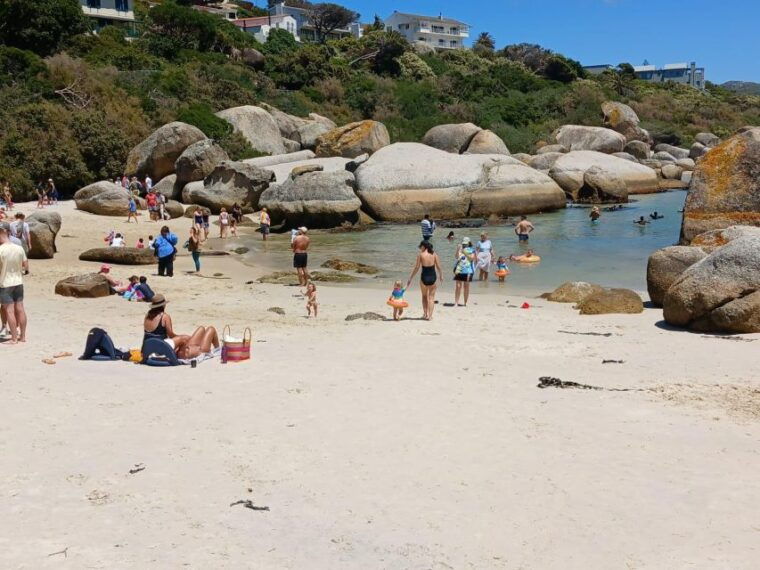 Beach Day at Boulder's Beach & Penguin watching, Half Day - Balancing the Pros and Cons