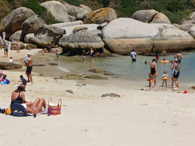 Beach Day at Boulders Beach & Penguin Watching, Half Day - Inclusions