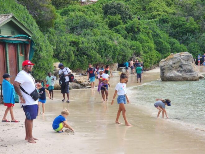 Beach Day at Boulders Beach & Penguin Watching, Half Day - Frequently Asked Questions