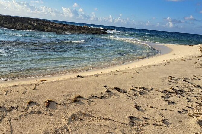 Beach day in Cozumel with roundtrip transportation - Authentic and Practical: Who Would Love This Tour?