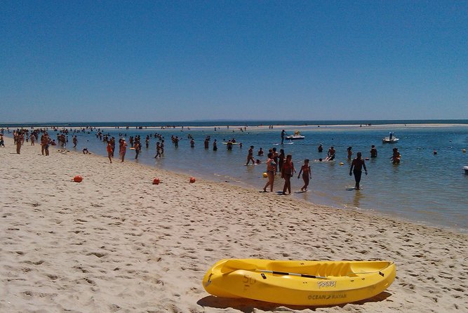 Beach Day in the Setúbal City Region - Arrábida - Excursion to Setubal Beaches